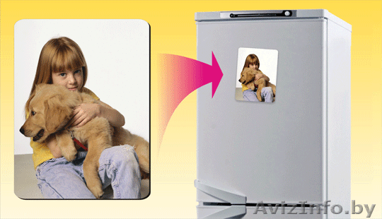 Фотомагниты magnez.by - Изображение #1, Объявление #124543