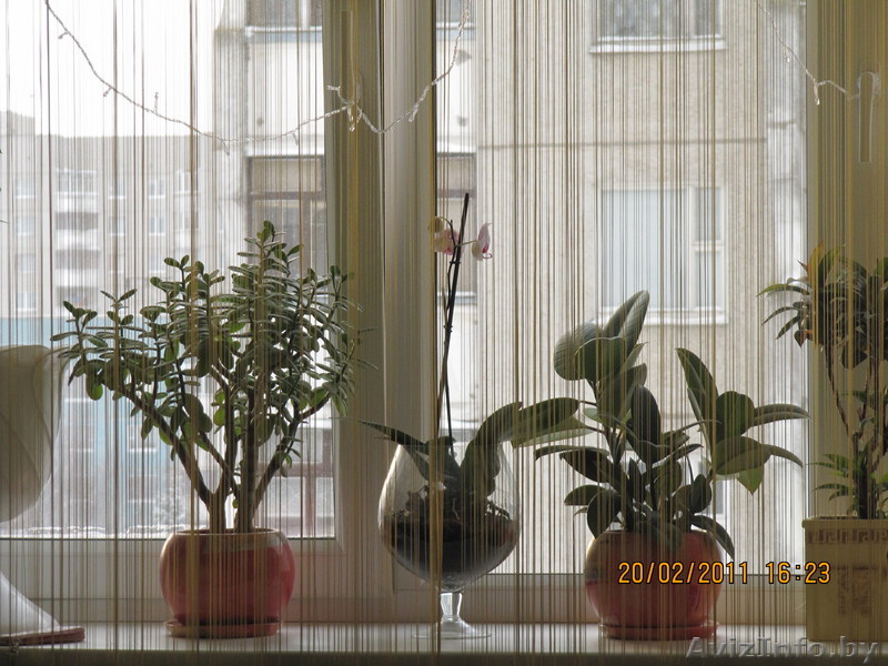 ООО.ИрэнСтрой и к - Изображение #1, Объявление #322331