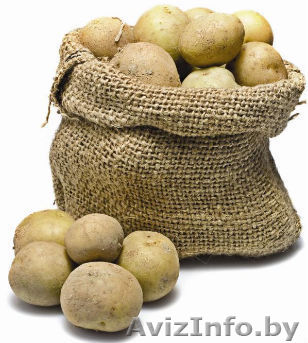 Картофель крупный 1 200 р./кг - Изображение #1, Объявление #762692