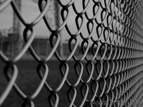 Сетка Рабица, столбы, проволока - Изображение #1, Объявление #1043916