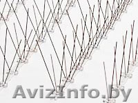 антиприсадочные шипы от птиц - Изображение #1, Объявление #1163418