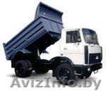 самосвал 10т услуги,аренда, - Изображение #1, Объявление #1302139