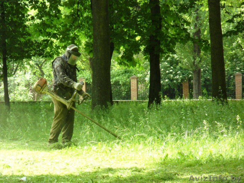 Покос травы и выпиливание кустарников в Гродно и области!!!.Наличный и - Изображение #1, Объявление #1373156