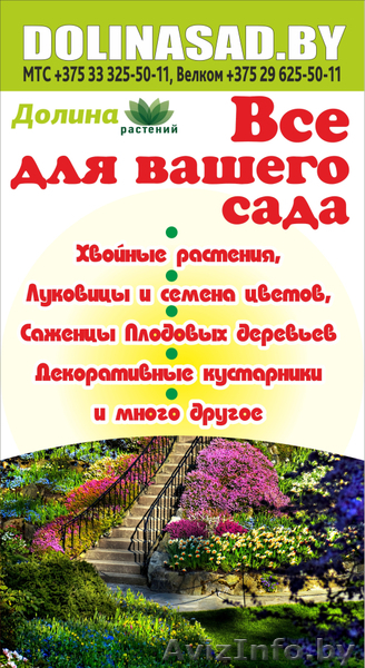 Купить растения в Гродно. Каталог, Доставка, Гарантия. - Изображение #1, Объявление #1486393