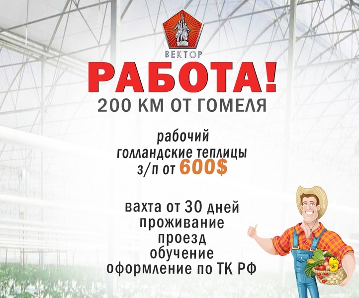 Производству Голландские теплицы нужны сотрудники - Изображение #1, Объявление #1650531