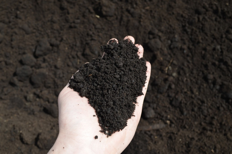 Плодородка доставка Гродно 20 т - Изображение #1, Объявление #1657204