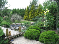 Коттедж в микрорайоне Барановичи-1 - Изображение #5, Объявление #34226