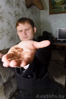 Фотограф на свадьбу - Изображение #5, Объявление #151647