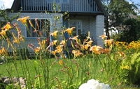 Дача в курортной зоне заповедника - Изображение #7, Объявление #188871