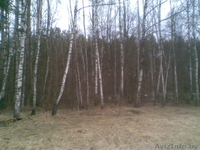 продам дачу в гродно - Изображение #3, Объявление #234378