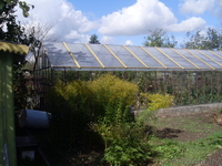 продам дачу 16 соток - Изображение #4, Объявление #378747