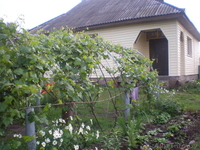 Меняю дом в д.Рыбница на квартиру в Гродно - Изображение #2, Объявление #520590