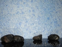 Жидкие обои компании Silk Plaster - Изображение #1, Объявление #744354