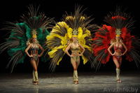 Артисты на свадьбу - Изображение #7, Объявление #768996