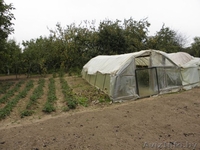 Продам дачу недалеко от Каптевки - Изображение #2, Объявление #776759