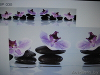 Скинали(стеновые панели) в Гродно! - Изображение #5, Объявление #1243724