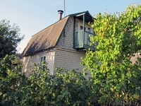 Ухоженная дача c обработанным земельным участком - Изображение #1, Объявление #1306696