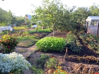 Ухоженная дача c обработанным земельным участком - Изображение #3, Объявление #1306696