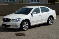 Накладки металлические на колесные арки.Бесплатная доставка. - Изображение #7, Объявление #1373602