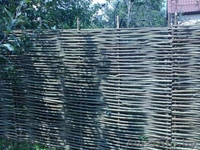 Украинский тын из орешника - Изображение #2, Объявление #1441485