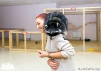 Продается единственный в областном городе контактный зоопарк  - Изображение #3, Объявление #1601669