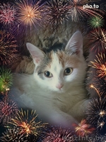 Карамельное создание с самым нежным сердечко в мире - Изображение #2, Объявление #1642011