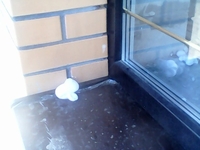 Утепление Домов Пеноизолом - Изображение #4, Объявление #1679076