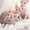 котята  канадского сфинкса - Изображение #1, Объявление #862157