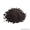 Чернушка посевная или Чёрный тмин. Посадочный материал Оптом. #1526085