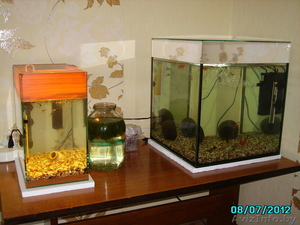 Продам аквариумы на 70 и 21 литр СРОЧНО - Изображение #1, Объявление #716688