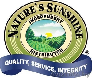 NSP НСП Оформление дисконта БЕСПЛАТНО #837818