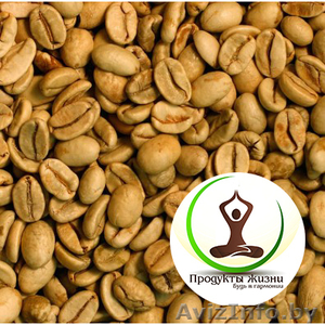 Зеленый кофе. Скидки 50%. Бесплатная доставка в Брест и по области!