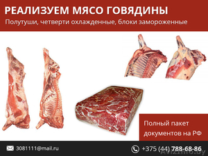 Реализуем мясо говядины. Полный пакет документов на РФ. - Изображение #1, Объявление #1480164