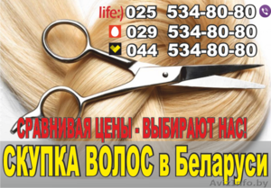 Купим волосы по самым высоким ценам в Гродно. - Изображение #1, Объявление #1449886