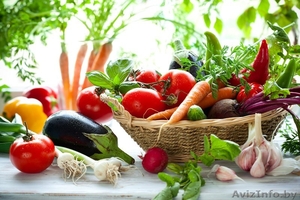 Семена овощей, цветов, трав Оптом от польских производителей - Изображение #3, Объявление #1525449