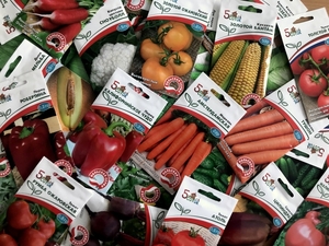 Польские пакетированные семена овощей и цветов оптом.5 соток - Изображение #4, Объявление #1674450