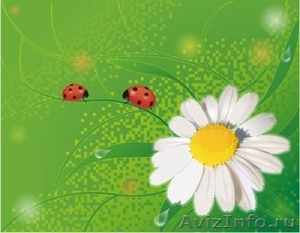 Беловежская пуща квартира 