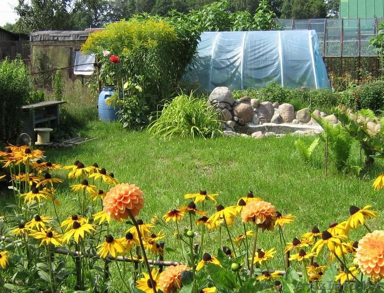 Дача в курортной зоне заповедника - Изображение #5, Объявление #188871