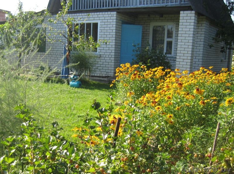 Дача в курортной зоне заповедника - Изображение #6, Объявление #188871