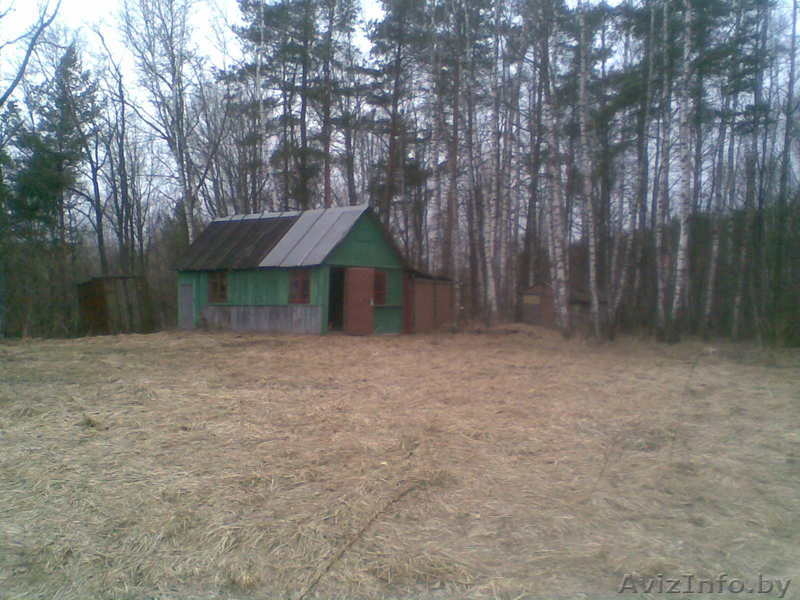 продам дачу в гродно - Изображение #1, Объявление #234378