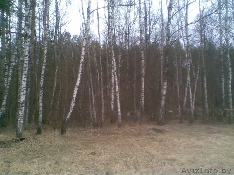 продам дачу в гродно - Изображение #3, Объявление #234378