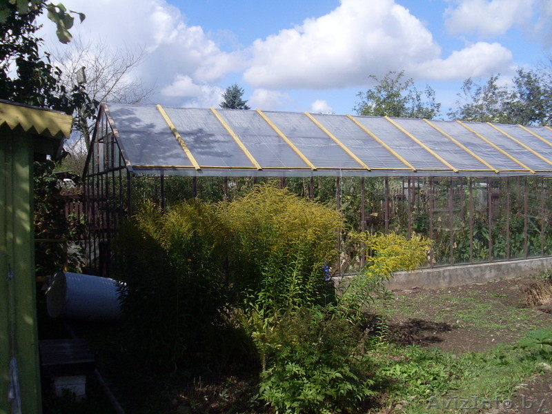 продам дачу 16 соток - Изображение #4, Объявление #378747