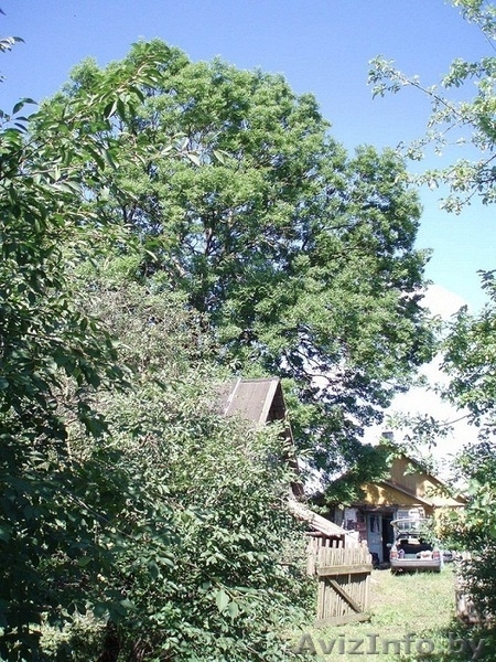 Продам  дом 25 соток земли - Скидель - Изображение #1, Объявление #494953