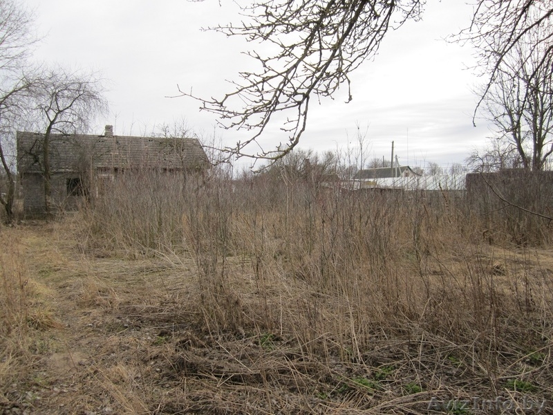 Участок 25 соток  д.Озера - Изображение #2, Объявление #610358