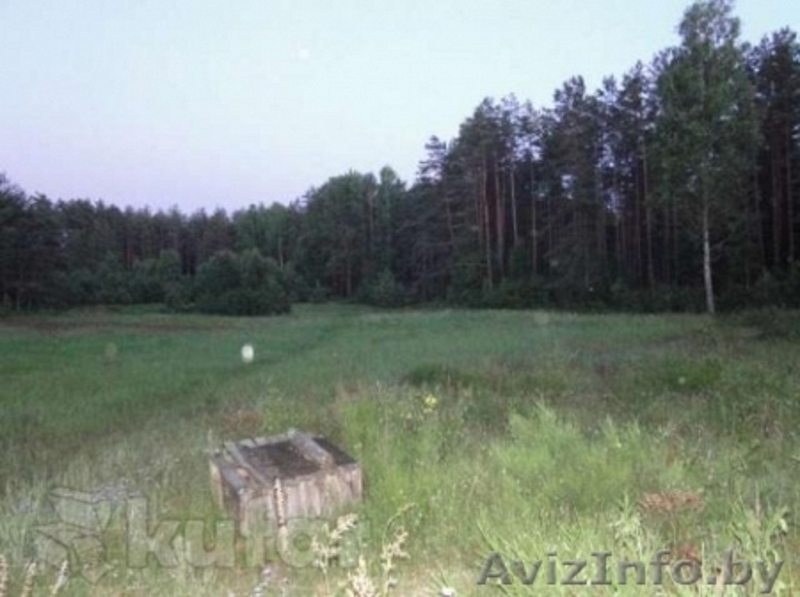  Дом около деревни Бершты - Изображение #2, Объявление #1130247