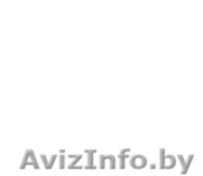 Разработка и создание любых сайтов дешево и быстро. - Изображение #2, Объявление #1223344