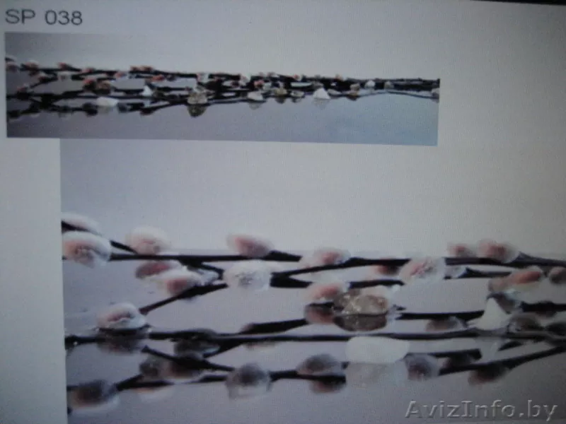 Скинали(стеновые панели) в Гродно! - Изображение #7, Объявление #1243724