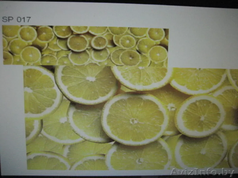 Скинали(стеновые панели) в Гродно! - Изображение #3, Объявление #1243724