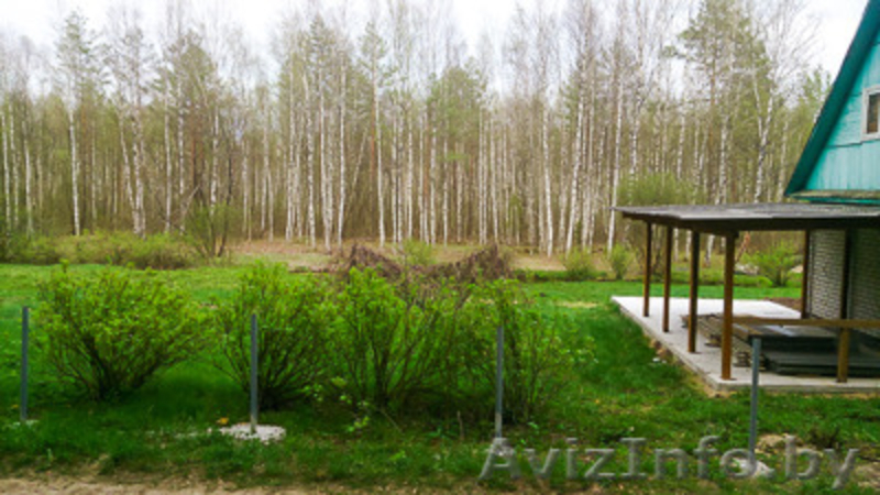 ДАЧА д.Поречье-1 Общество "Золотые пески" - Изображение #5, Объявление #1276144