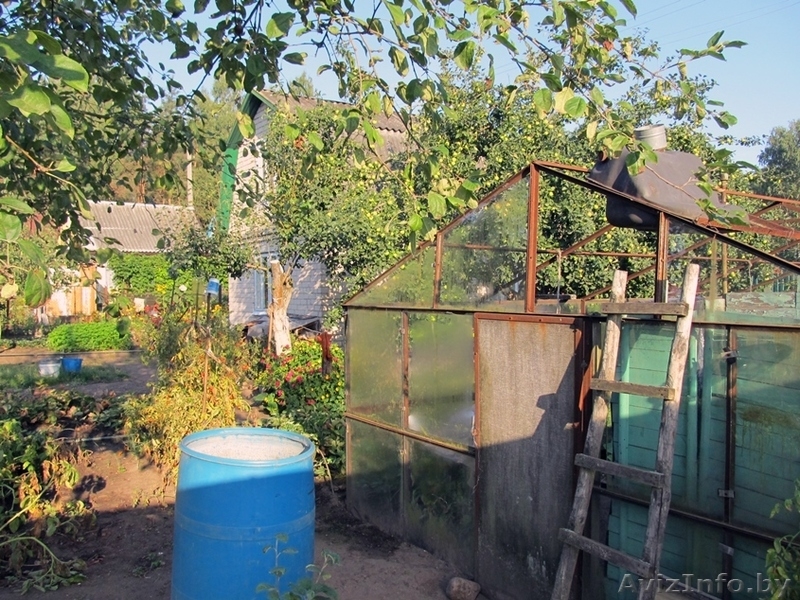 Ухоженная дача c обработанным земельным участком - Изображение #4, Объявление #1306696